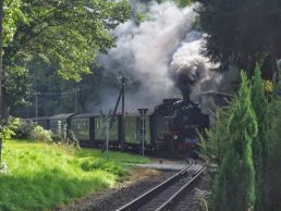 Die Dampflok getriebene Kleinbahn "Lößnitzdackel" von Radebeul bei Dresden nach Moritzburg