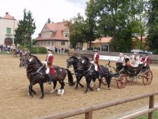Pferde-Show mit historischen Kutschen