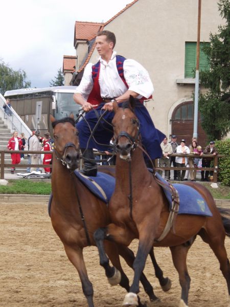 Kosaken Reiter auf 2 Pferden