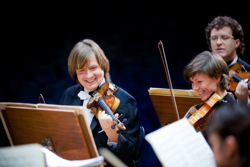 Violinspieler der Dresdner Philharmonie