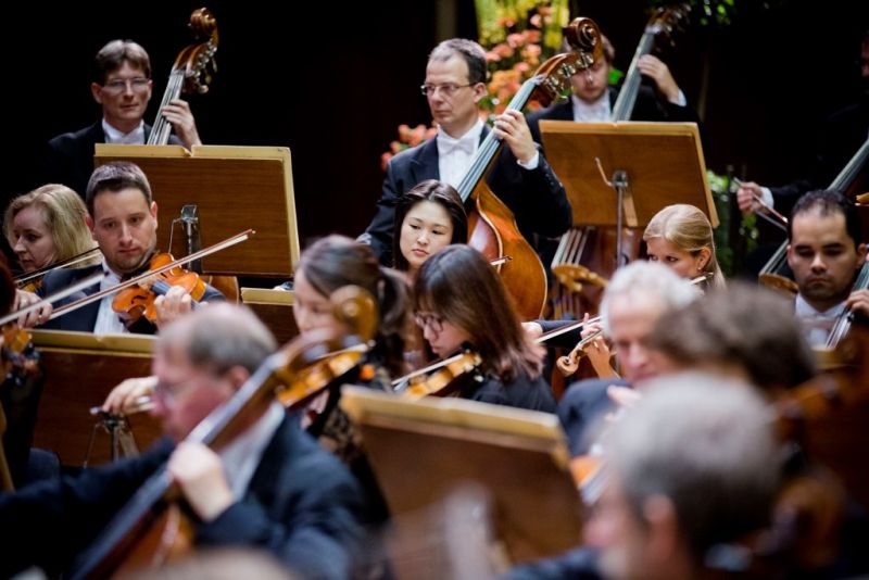 Das Orchester der Dresdner Philharmonie